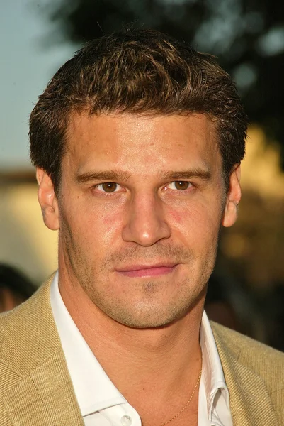 David Boreanaz — Stock fotografie