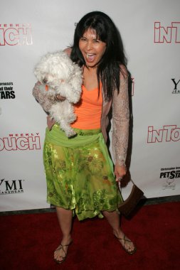 Evcil hayvanlar ve onların yıldız bağlantıda sunar