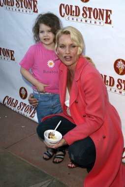 Soğuk taş süthane'nın dondurma pasta sosyal