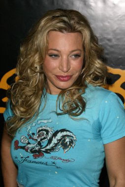 Taylor Dayne
