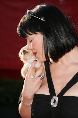 13 yıllık espy Ödülleri - geliş