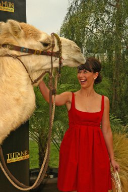 Jennifer Love Hewitt