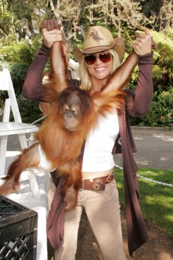 11 yıllık yabani hayvanlar ve bitkiler waystation safari brunch yarar