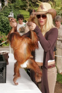 11 yıllık yabani hayvanlar ve bitkiler waystation safari brunch yarar