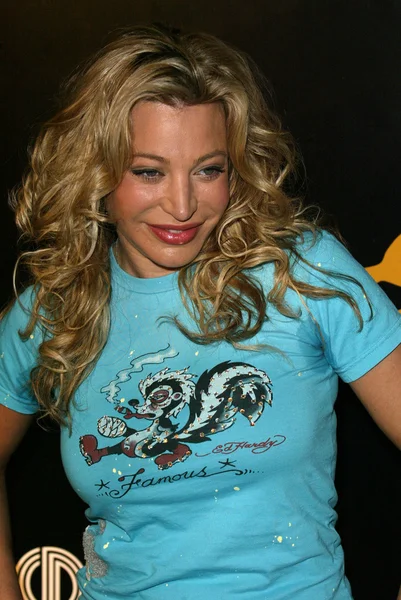 Taylor Dayne — Stock Photo, Image