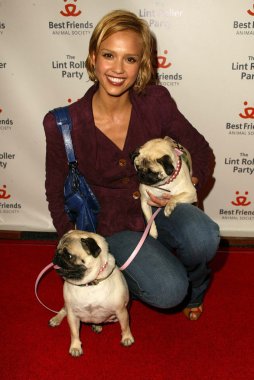 2005 yıllık tüysüz paten partisi