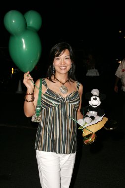 Disneyland 50 koleksiyonu