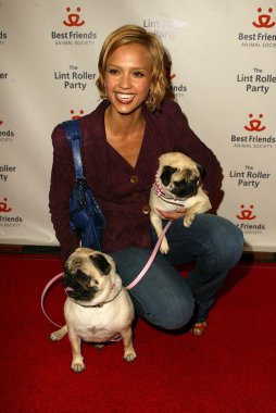 2005 yıllık tüysüz paten partisi