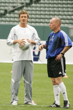 David Beckham