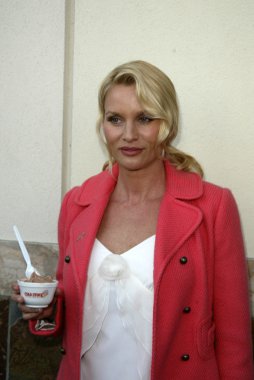 Soğuk taş süthane'nın dondurma pasta sosyal