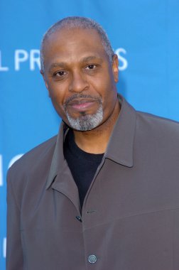 Hollywood bowl açılış gecesi