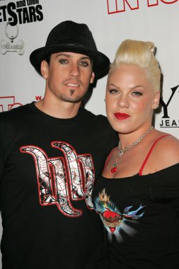 Evcil hayvanlar ve onların yıldız bağlantıda sunar