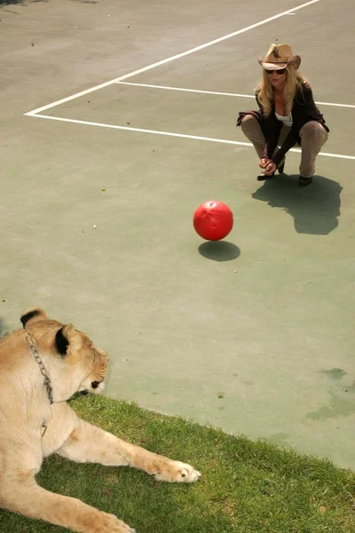 第 11 回野生動物 waystation サファリ ブランチを利益します。 — ストック写真