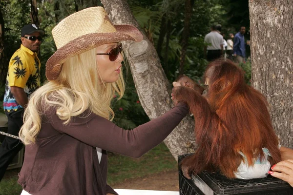 11 yıllık yabani hayvanlar ve bitkiler waystation safari brunch yarar