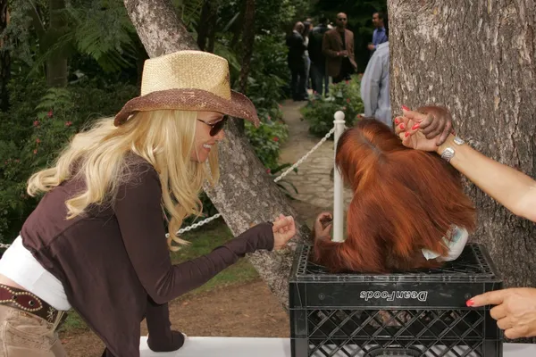 11. jährliche Safari-Brunch für Wildtiere — Stockfoto