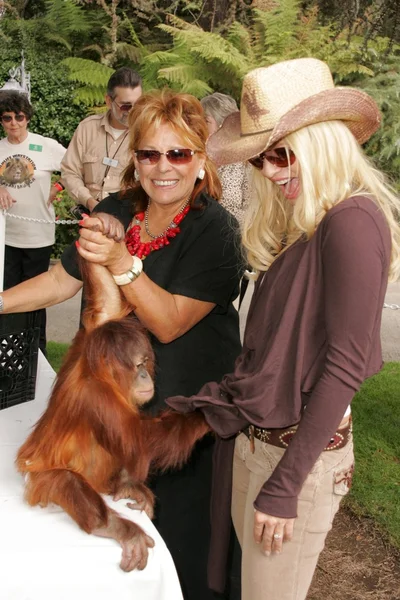 11 yıllık yabani hayvanlar ve bitkiler waystation safari brunch yarar