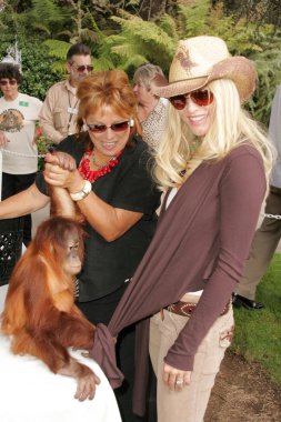 11 yıllık yabani hayvanlar ve bitkiler waystation safari brunch yarar