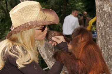 11 yıllık yabani hayvanlar ve bitkiler waystation safari brunch yarar