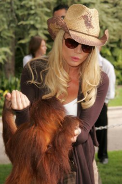 11 yıllık yabani hayvanlar ve bitkiler waystation safari brunch yarar