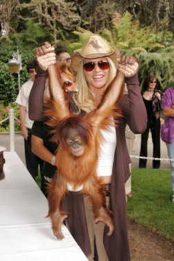 11 yıllık yabani hayvanlar ve bitkiler waystation safari brunch yarar