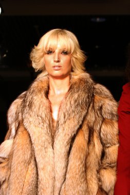modeli