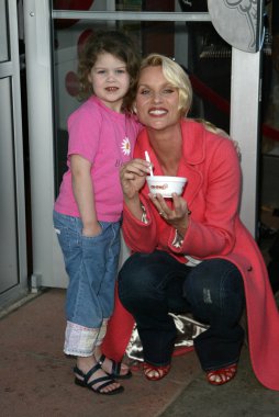 Soğuk taş süthane'nın dondurma pasta sosyal