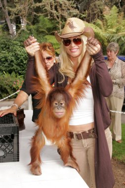 11 yıllık yabani hayvanlar ve bitkiler waystation safari brunch yarar