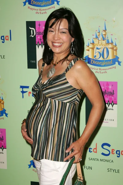 Disneyland 50 koleksiyonu