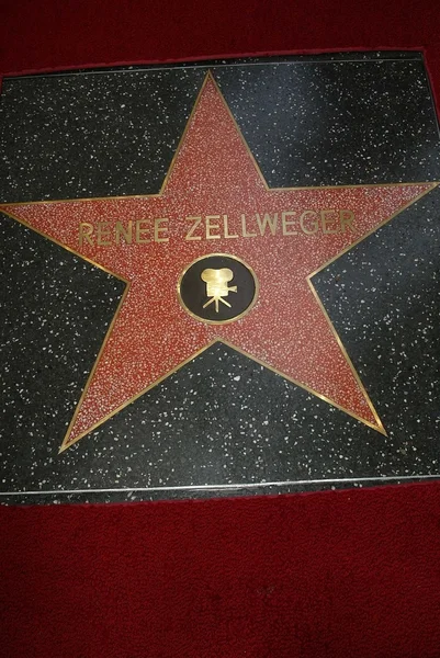 Звезда Рене Зеллвегер — стоковое фото