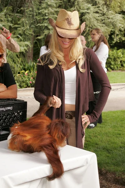 11 yıllık yabani hayvanlar ve bitkiler waystation safari brunch yarar