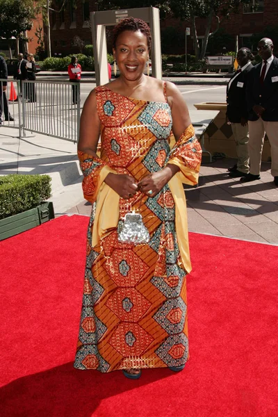 CCH Pounder — Stock Photo, Image