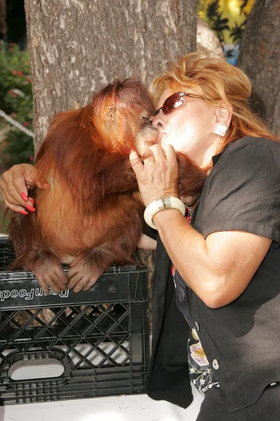 11th Annual Wildlife Waystation Safari Brunch Benefit — Stock Photo, Image