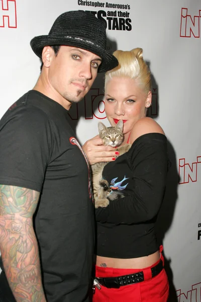 Evcil hayvanlar ve onların yıldız bağlantıda sunar