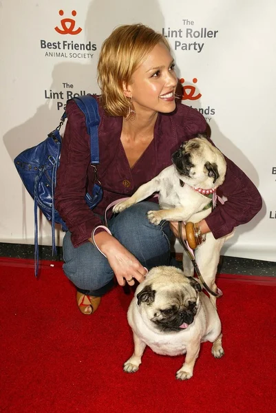 2005 årliga lint roller party — Stockfoto