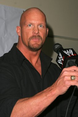 taş soğuk steve austin