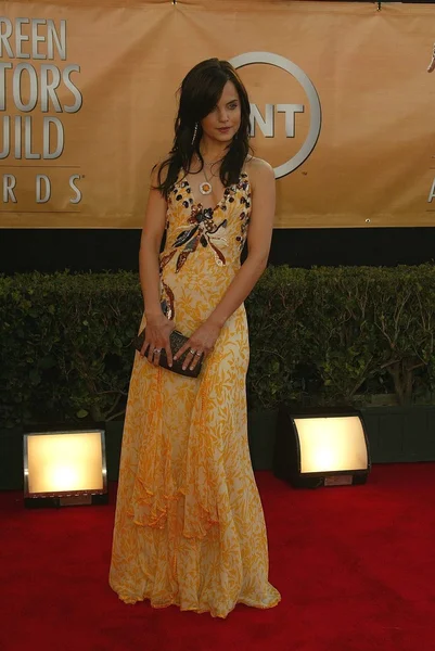 11th Annual Screen Actors Guild Awards - Arrivals — Stock Photo, Image