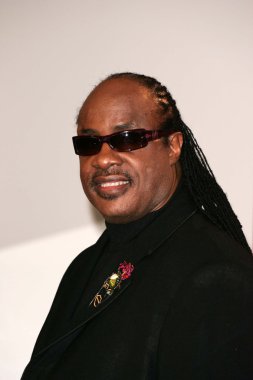 Stevie Wonder