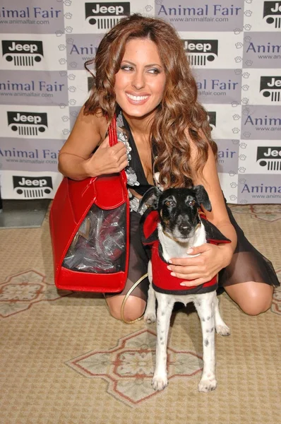 O Jeep Yappy Hora e Febreze Pet Fashion Show — Fotografia de Stock