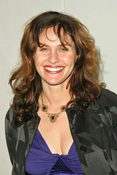 Amy Brenneman — Foto Stock