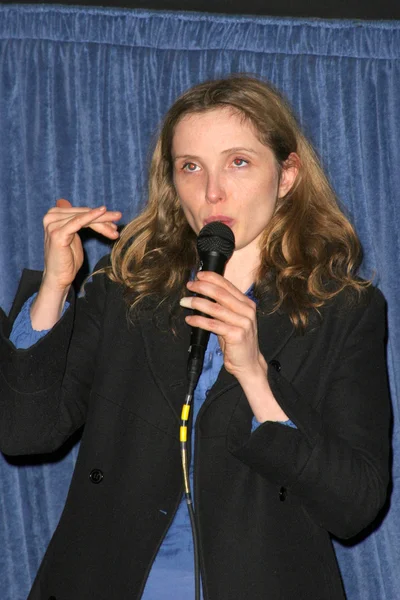 Q & A com Julie Delpy — Fotografia de Stock