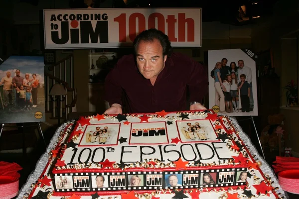 "According to Jim" 100th Episode Celebration — Stock Photo, Image