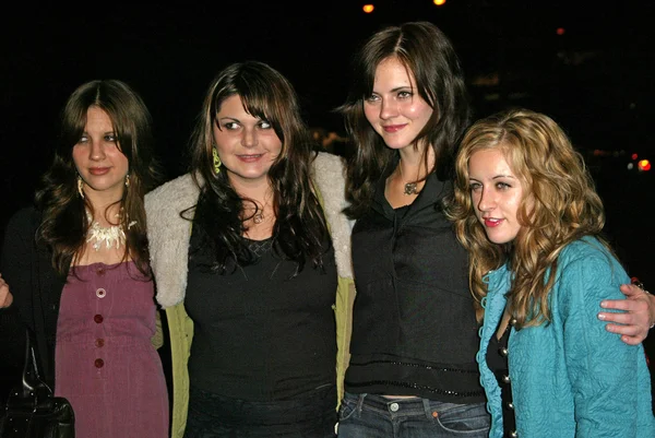 ⬇ Скачать Картинки The Donnas, Стоковые Фото The Donnas В Хорошем.