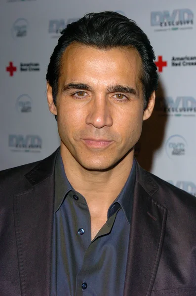 Adrian Paul au DVD Exclusive Awards 2005, The California Science Center, Los Angeles, CA 02-08-05 — Photo