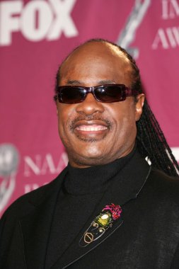 Stevie Wonder