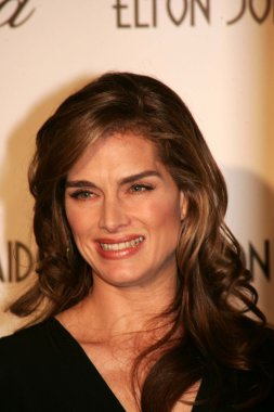 un coche cubierto de nieve