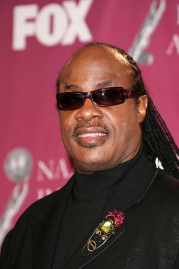 Stevie Wonder