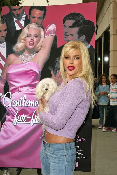 Anna Nicole Smith — Stock Photo, Image