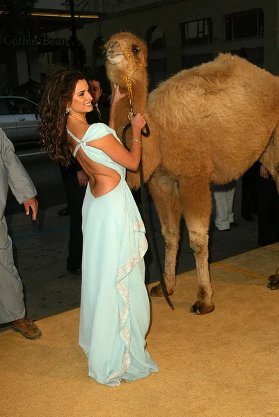 Wereldpremière van sahara — Stockfoto