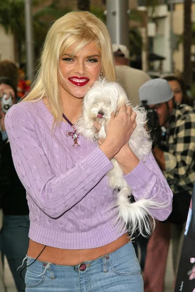 Anna Nicole Smith — Zdjęcie stockowe