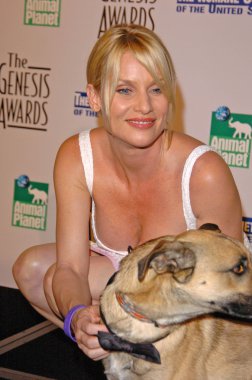 19 yıllık genesis Ödülleri